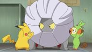 Shelgon as seen in the anime (Image via The Pokemon Company)